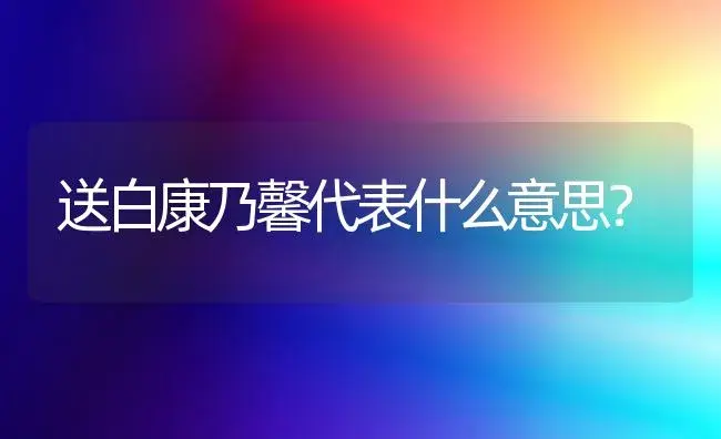 送白康乃馨代表什么意思？ | 绿植常识