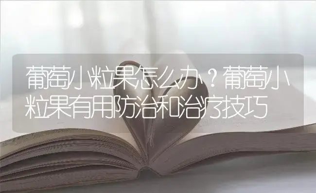 葡萄小粒果怎么办？葡萄小粒果有用防治和治疗技巧 | 果木种植