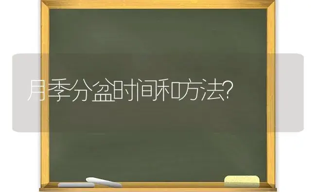 月季分盆时间和方法？ | 绿植常识