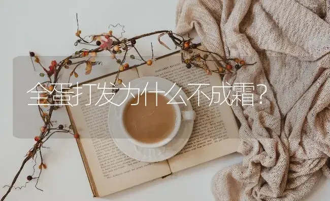 全蛋打发为什么不成霜？ | 多肉养殖