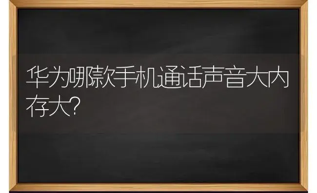 华为哪款手机通话声音大内存大？ | 多肉养殖