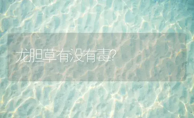 龙胆草有没有毒？ | 药材种植