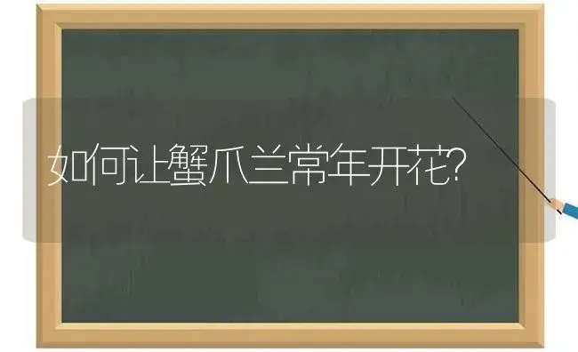 如何让蟹爪兰常年开花？ | 多肉养殖