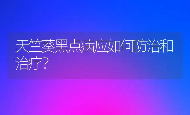 天竺葵黑点病应如何防治和治疗？ | 家庭养花