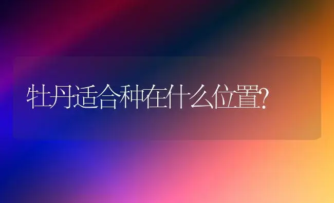 牡丹适合种在什么位置？ | 绿植常识