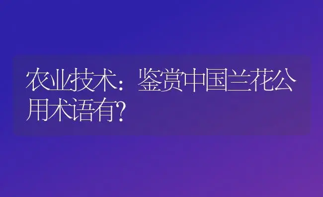 农业技术:鉴赏中国兰花公用术语有？ | 家庭养花