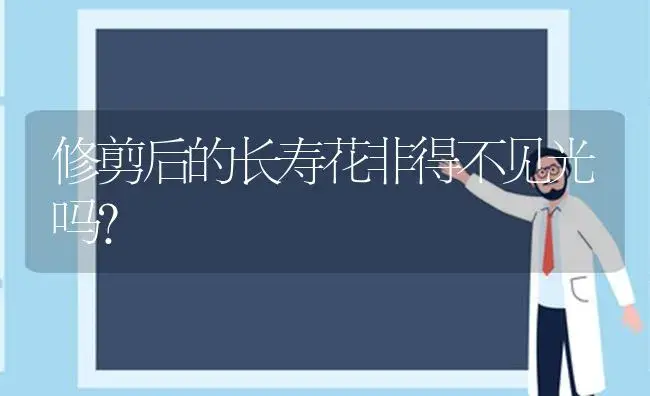 修剪后的长寿花非得不见光吗？ | 多肉养殖