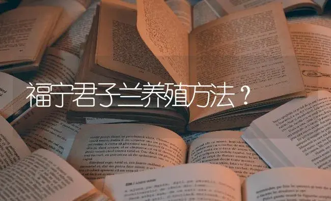 福宁君子兰养殖方法？ | 绿植常识