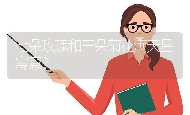 七朵玫瑰和三朵菊花满天星寓意？ | 绿植常识