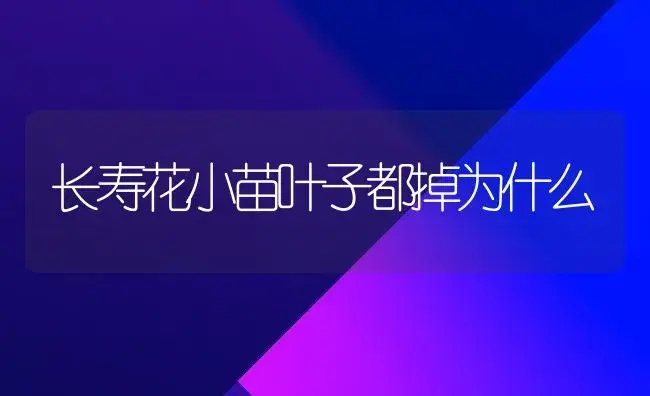 长寿花小苗叶子都掉为什么 | 多肉养殖