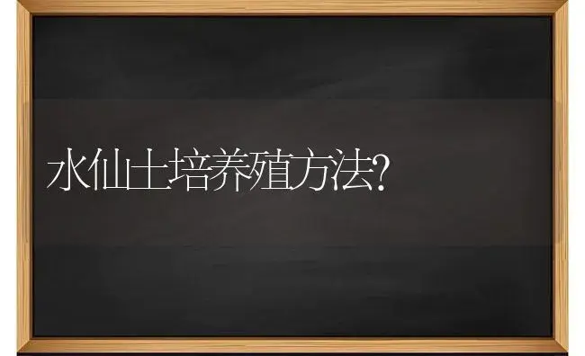 水仙土培养殖方法？ | 绿植常识