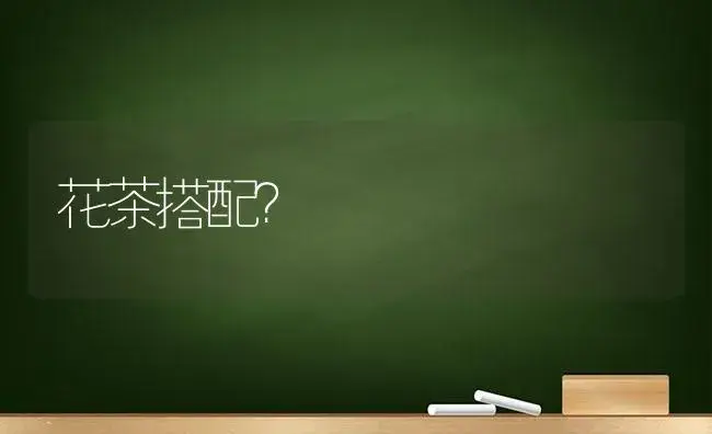 康乃馨开花了为什么叶子蔫了？ | 绿植常识