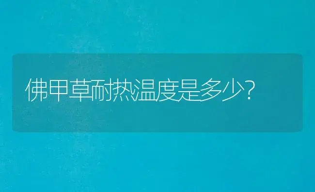 佛甲草耐热温度是多少？ | 多肉养殖