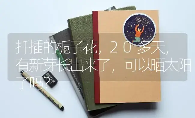 扦插的栀子花，20多天，有新芽长出来了，可以晒太阳了吗？ | 绿植常识