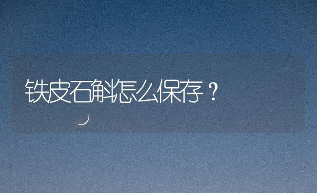 铁皮石斛怎么保存？ | 药材种植