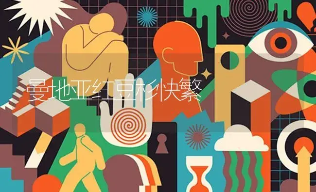 曼地亚红豆杉快繁 | 特种种植
