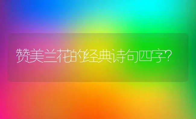 赞美兰花的经典诗句四字？ | 绿植常识