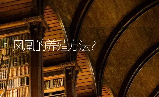 凤凰的养殖方法？ | 多肉养殖