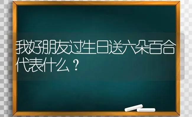 我好朋友过生日送六朵百合代表什么？ | 绿植常识