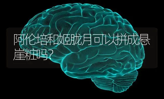 阿伦培和姬胧月可以拼成悬崖粧吗？ | 多肉养殖