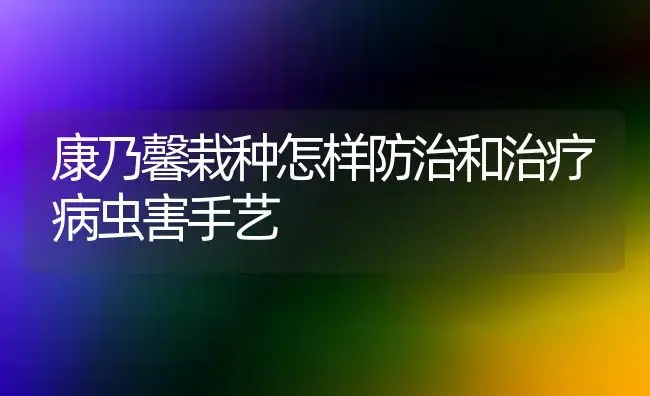 康乃馨栽种怎样防治和治疗病虫害手艺 | 家庭养花