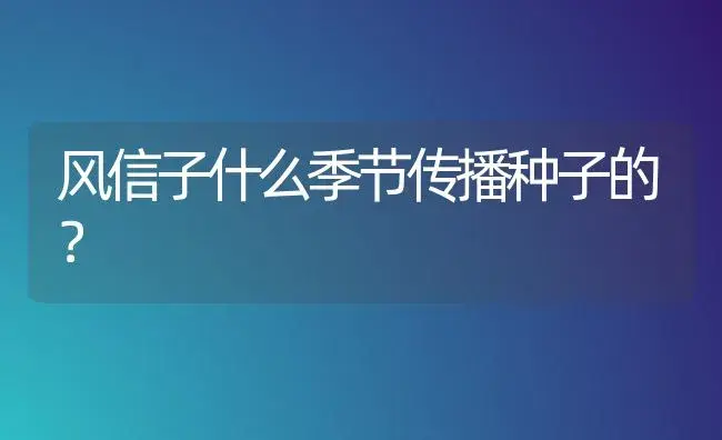 风信子什么季节传播种子的？ | 绿植常识