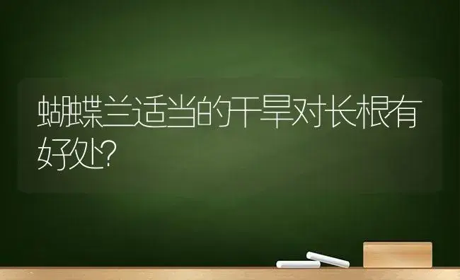 蝴蝶兰适当的干旱对长根有好处？ | 绿植常识