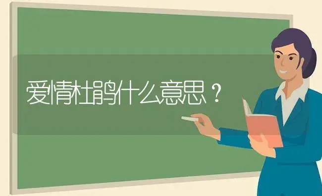 爱情杜鹃什么意思？ | 绿植常识