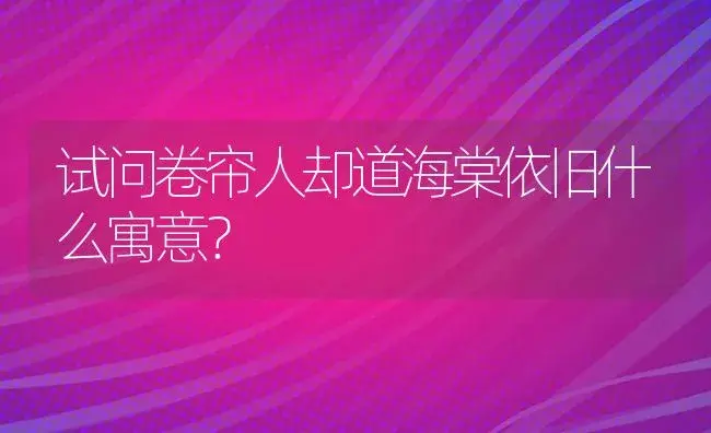 试问卷帘人却道海棠依旧什么寓意？ | 绿植常识