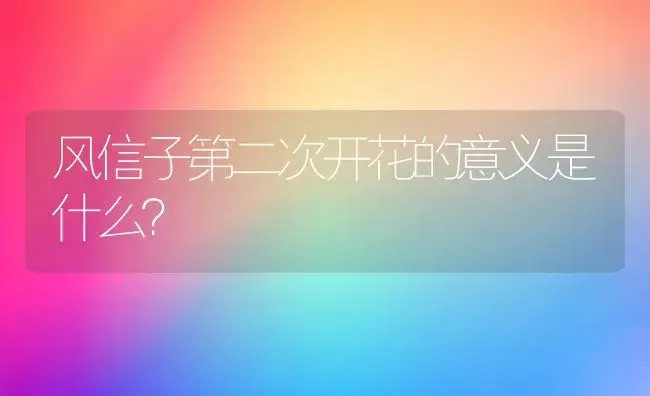 风信子第二次开花的意义是什么？ | 绿植常识