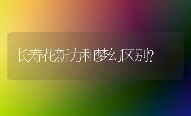 长寿花新力和梦幻区别？ | 多肉养殖