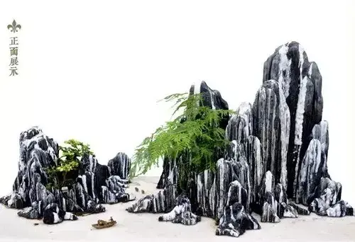 苏派盆景 | 文化中国·苏派盆景大师联合首拍作品