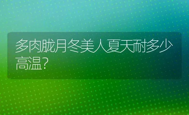 多肉胧月冬美人夏天耐多少高温？ | 多肉养殖