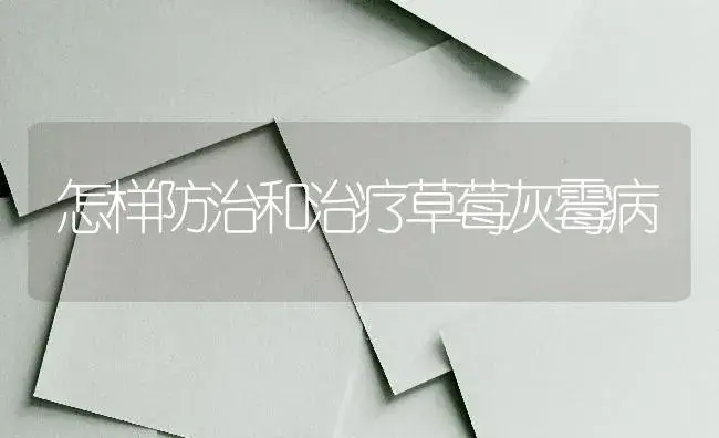 怎样防治和治疗草莓灰霉病 | 果木种植