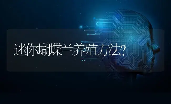 迷你蝴蝶兰养殖方法？ | 绿植常识