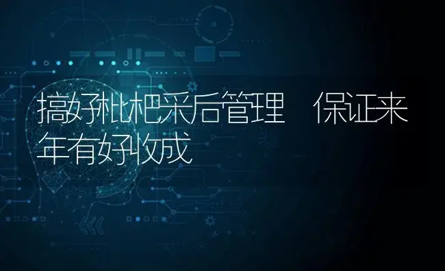 搞好枇杷采后管理 保证来年有好收成 | 特种种植