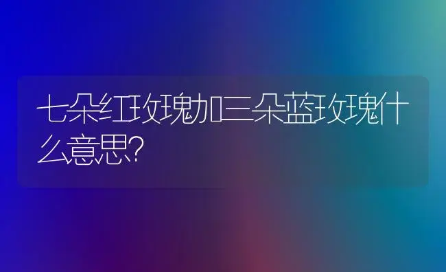 七朵红玫瑰加三朵蓝玫瑰什么意思？ | 绿植常识