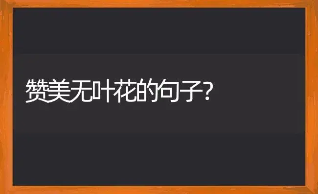 赞美无叶花的句子？ | 绿植常识