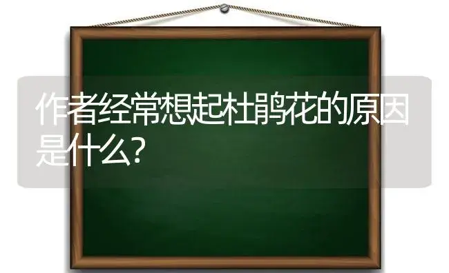 作者经常想起杜鹃花的原因是什么？ | 绿植常识