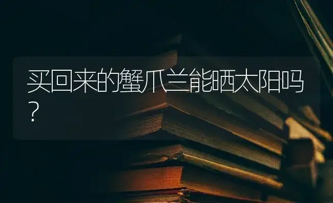 买回来的蟹爪兰能晒太阳吗？ | 多肉养殖