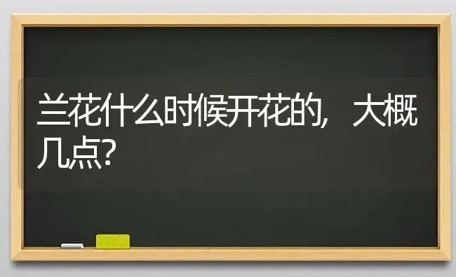 兰花什么时候开花的,大概几点？ | 绿植常识