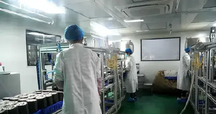 甘肃卓尼县发展食用菌产业 助力乡村振兴