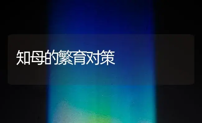 知母的繁育对策 | 药材种植