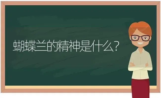 蝴蝶兰的精神是什么？ | 绿植常识