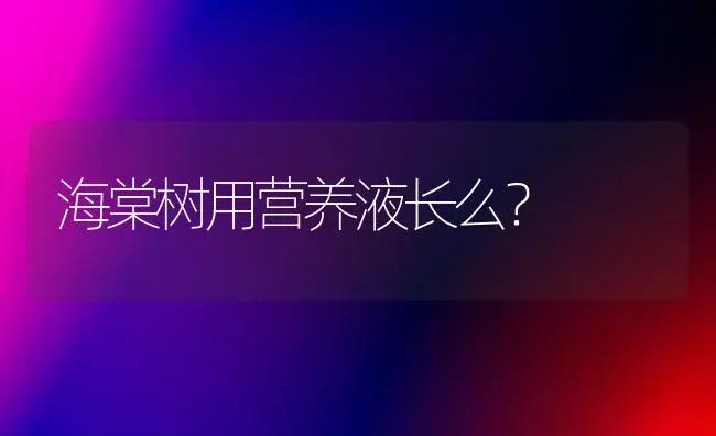 海棠树用营养液长么？ | 绿植常识