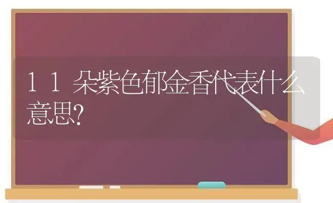 11朵紫色郁金香代表什么意思？ | 绿植常识