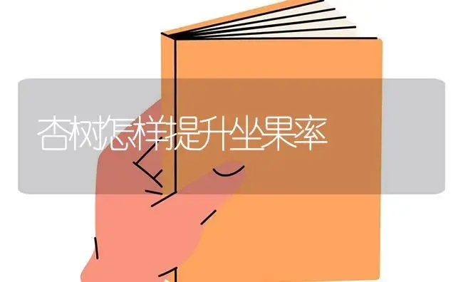 杏树怎样提升坐果率 | 果木种植