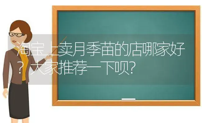 淘宝上卖月季苗的店哪家好？大家推荐一下呗？ | 绿植常识