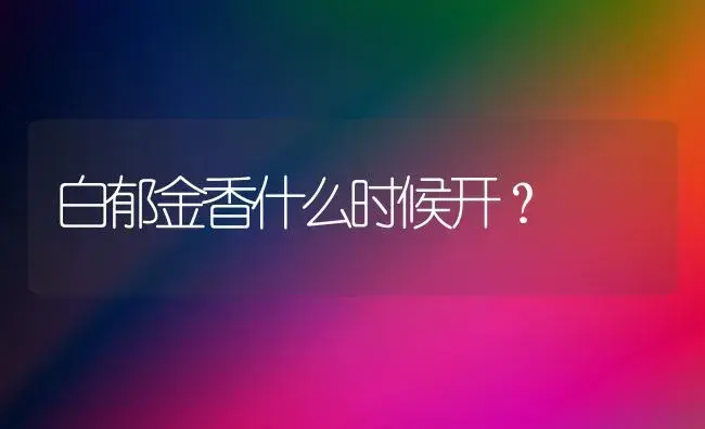 白郁金香什么时候开？ | 绿植常识