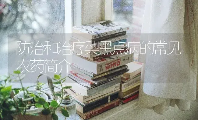 防治和治疗梨黑点病的常见农药简介 | 果木种植